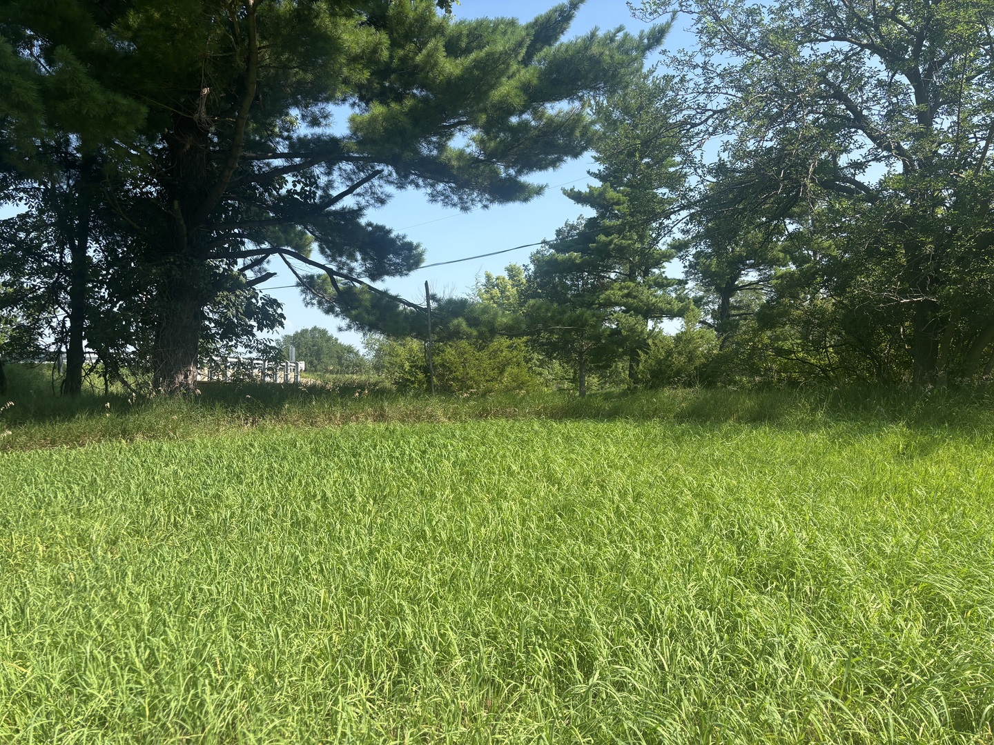 1866 Tanglewood Drive Property Photo 4