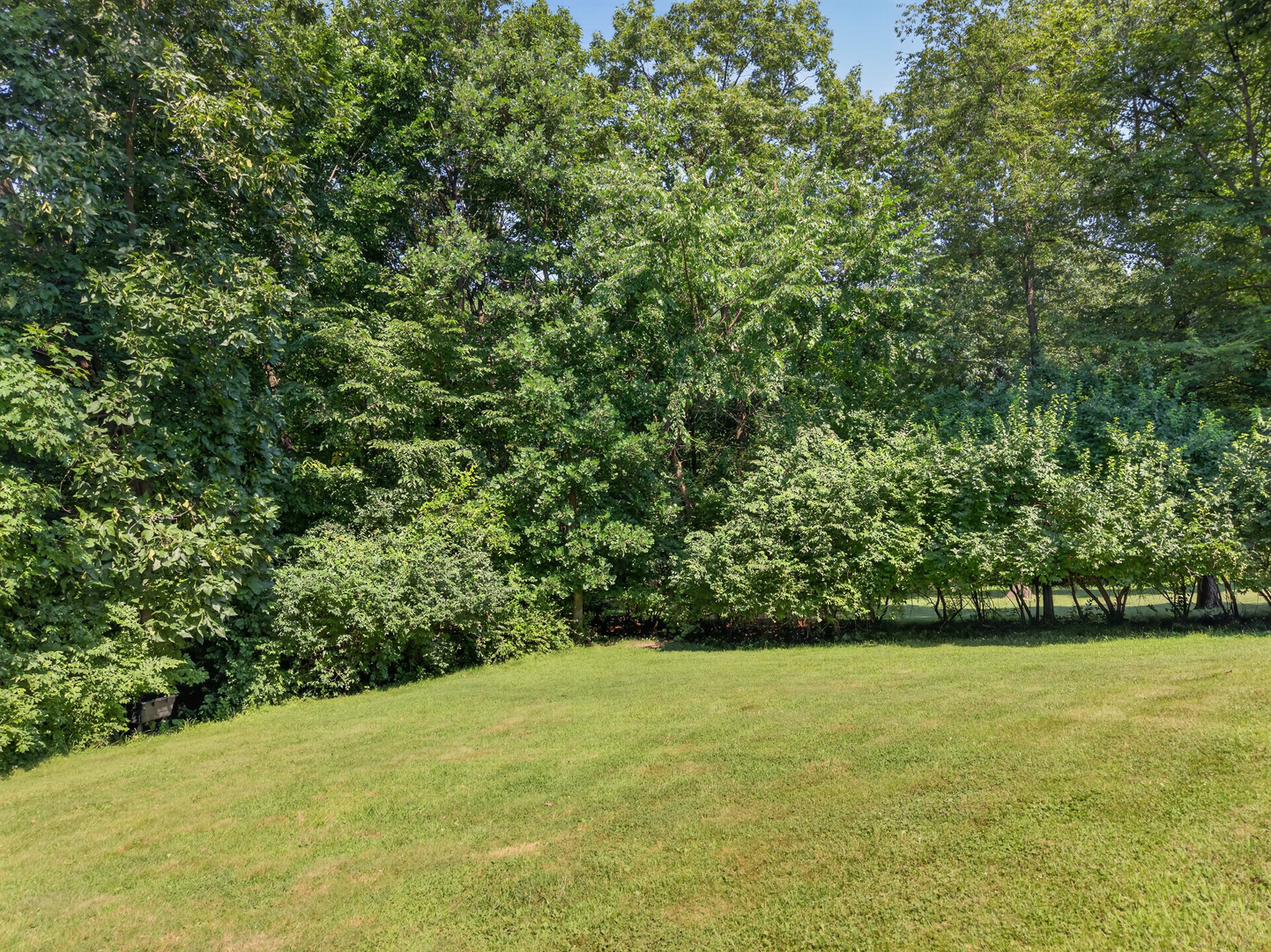 2841 Emerald Drive Property Photo 16