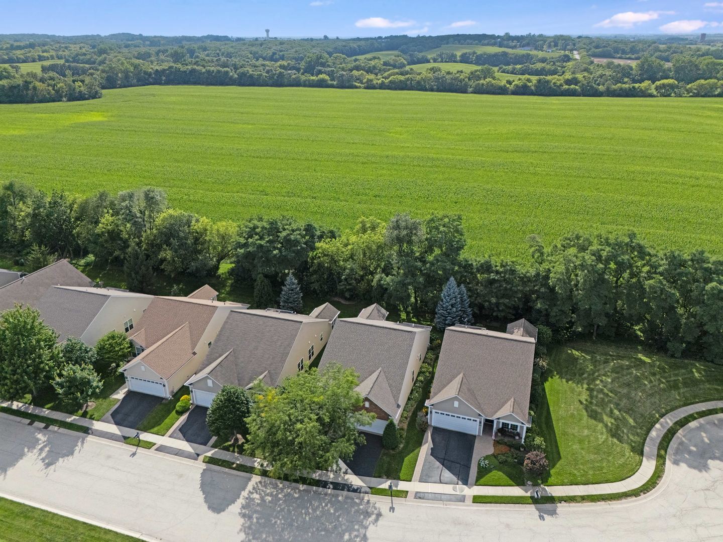12599 Meritage Court Property Photo 34