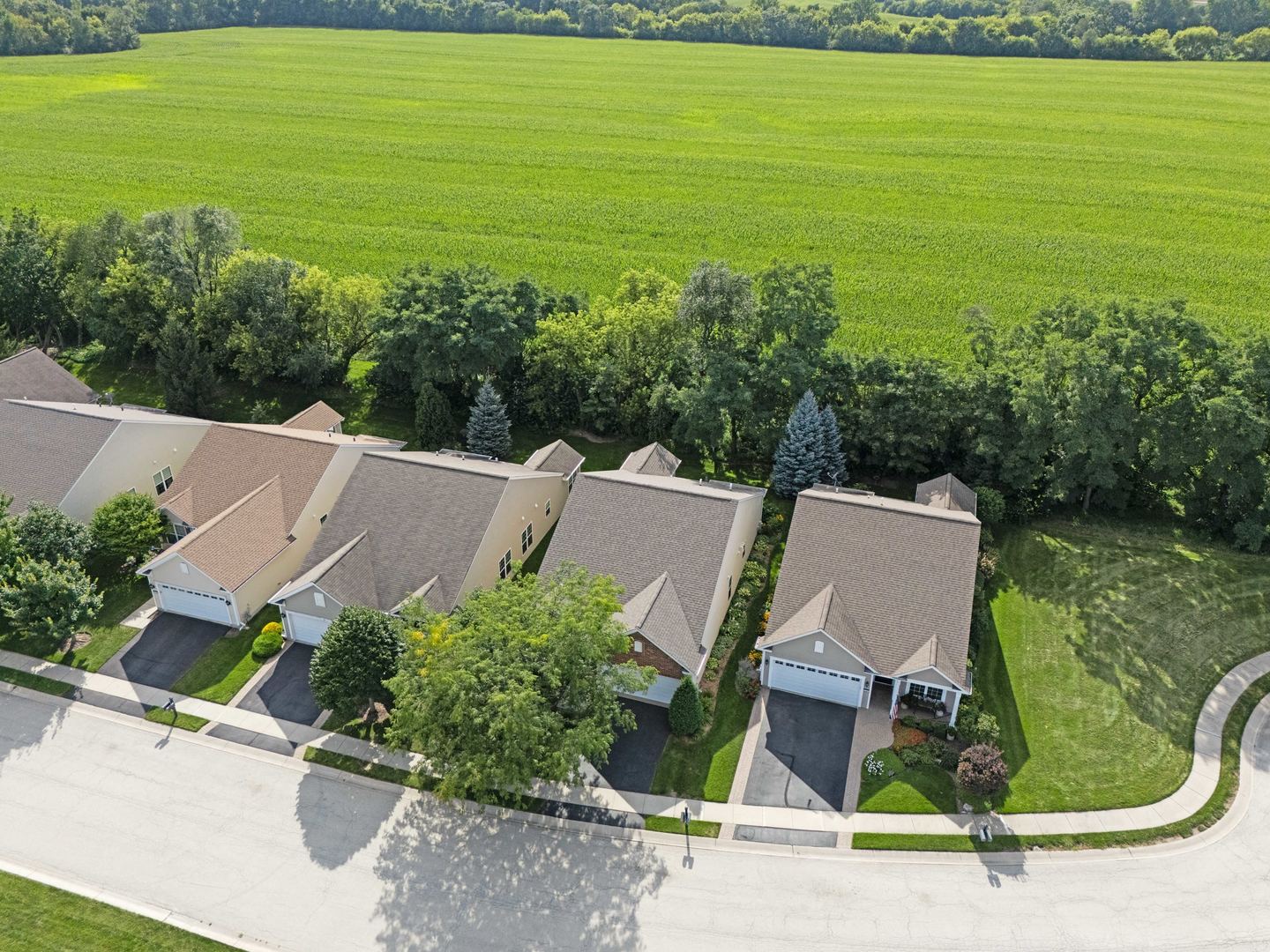 12599 Meritage Court Property Photo 35