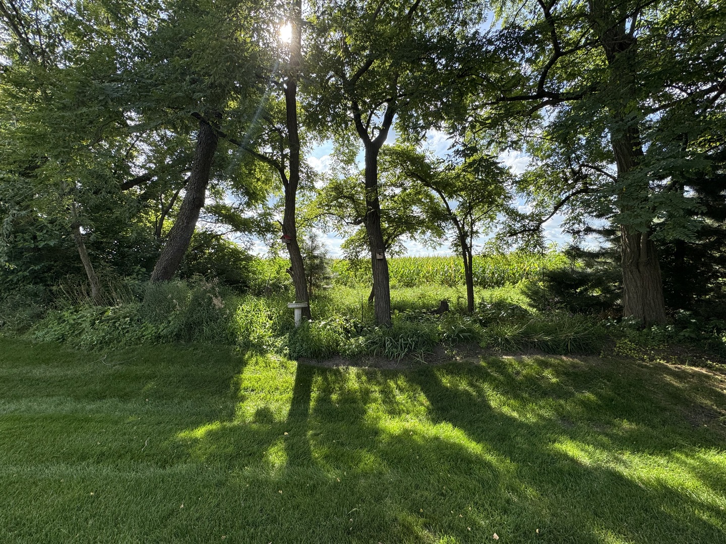 12599 Meritage Court Property Photo 42