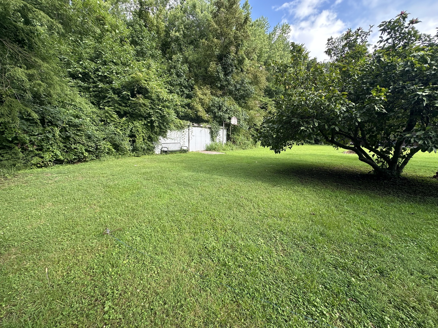1603 West Road Property Photo 5