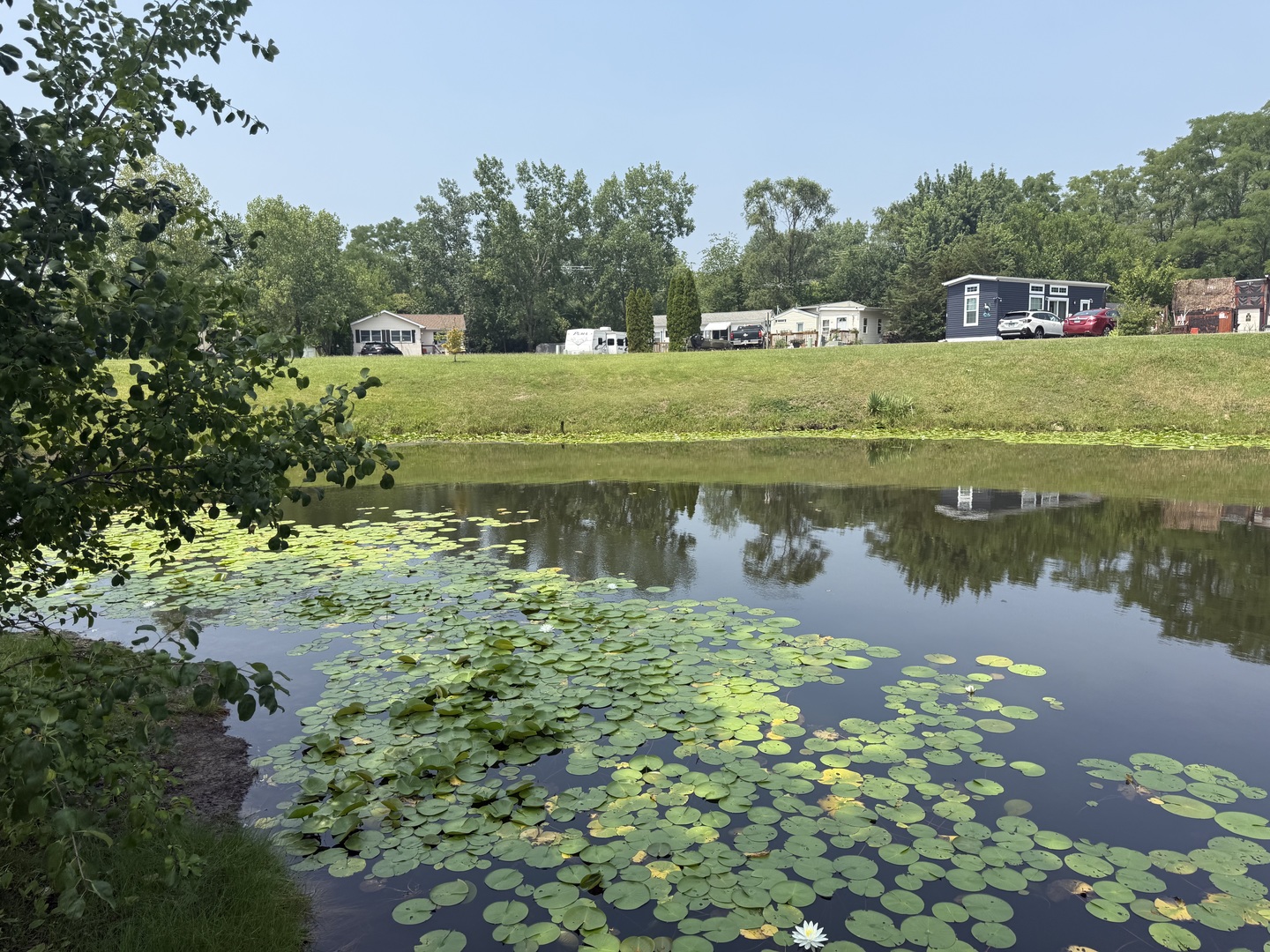 77 Dinosaur Road Property Photo 8