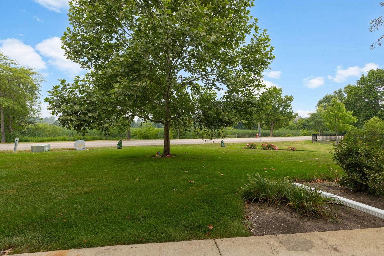 12709672 Property Photo 26