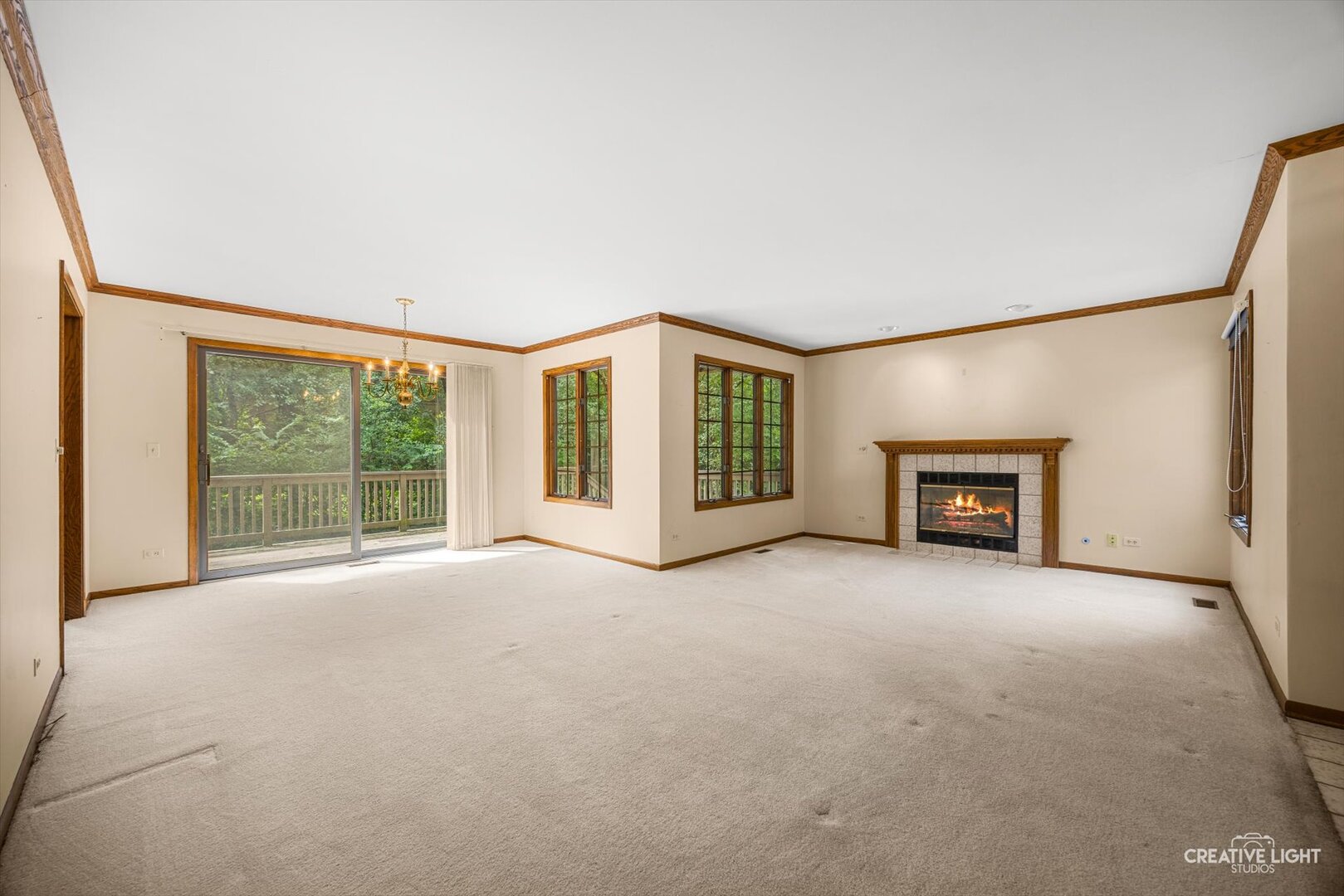 1109 Foxtail Court Property Photo 3