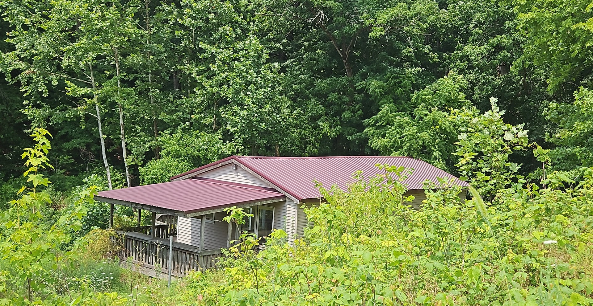 32917 Grapevine Trail Property Photo 8