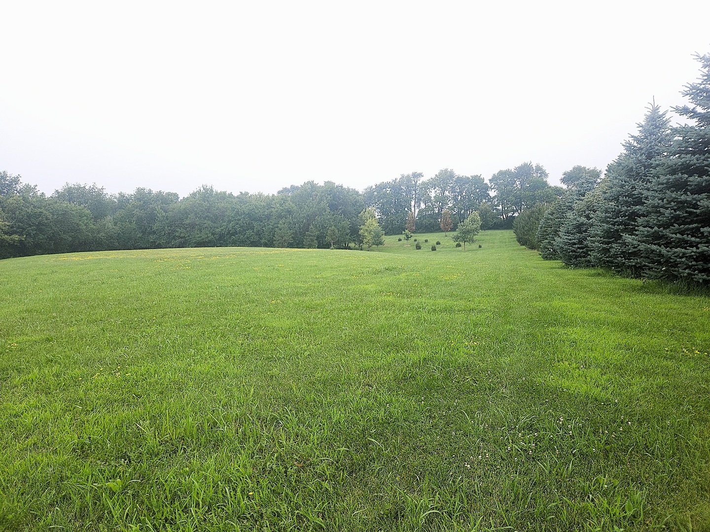 2141 Whitetail Lane Property Photo 1