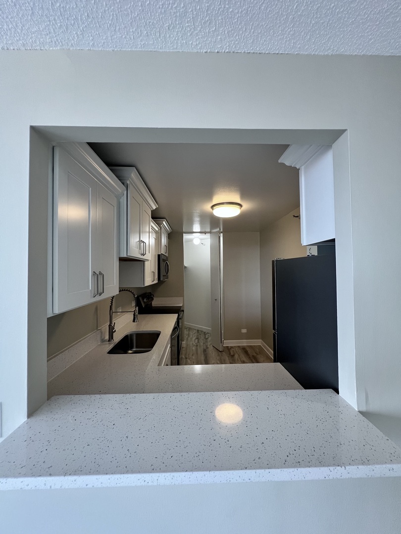 3660 N Lake Shore Drive 2513 Property Photo 9