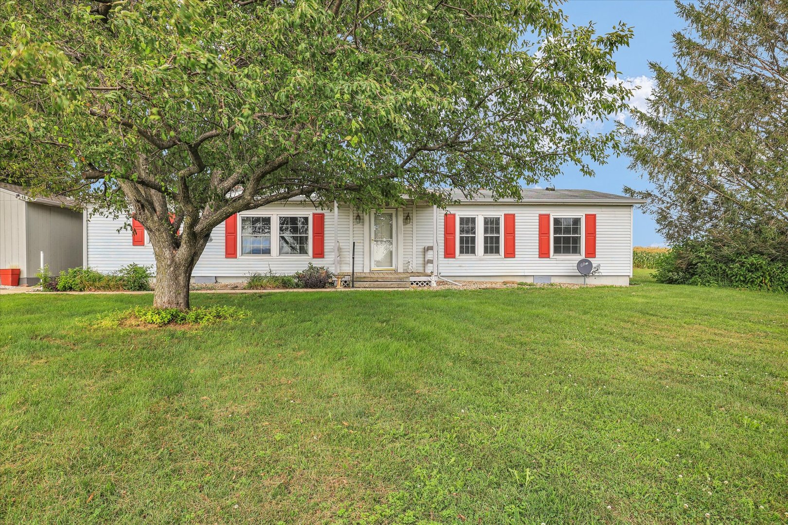 425 County Road 1575 Property Photo 15