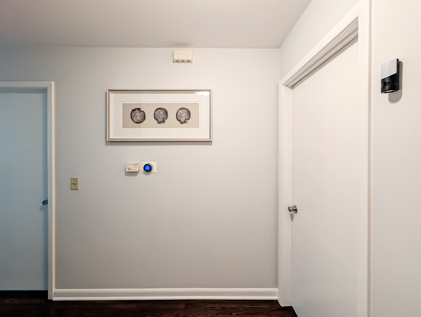 1005 E Irving Park Road Property Photo 36
