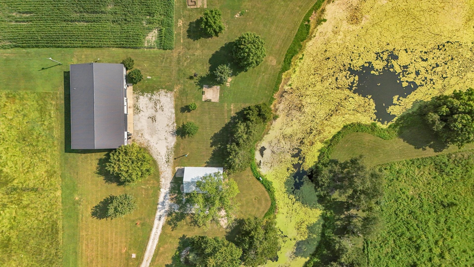 22518 State Highway 133 Property Photo 62