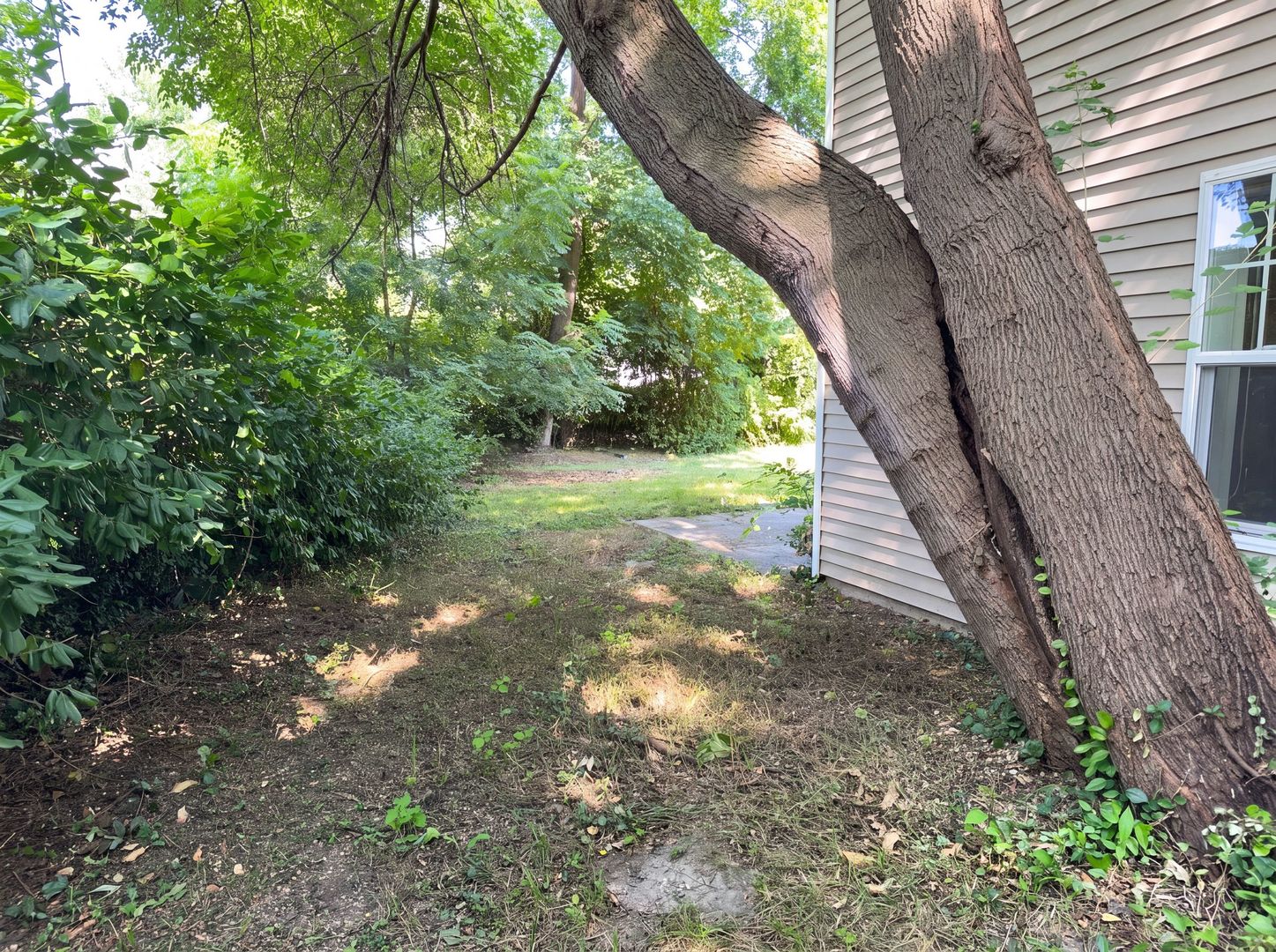 911 Foley Avenue Property Photo 18
