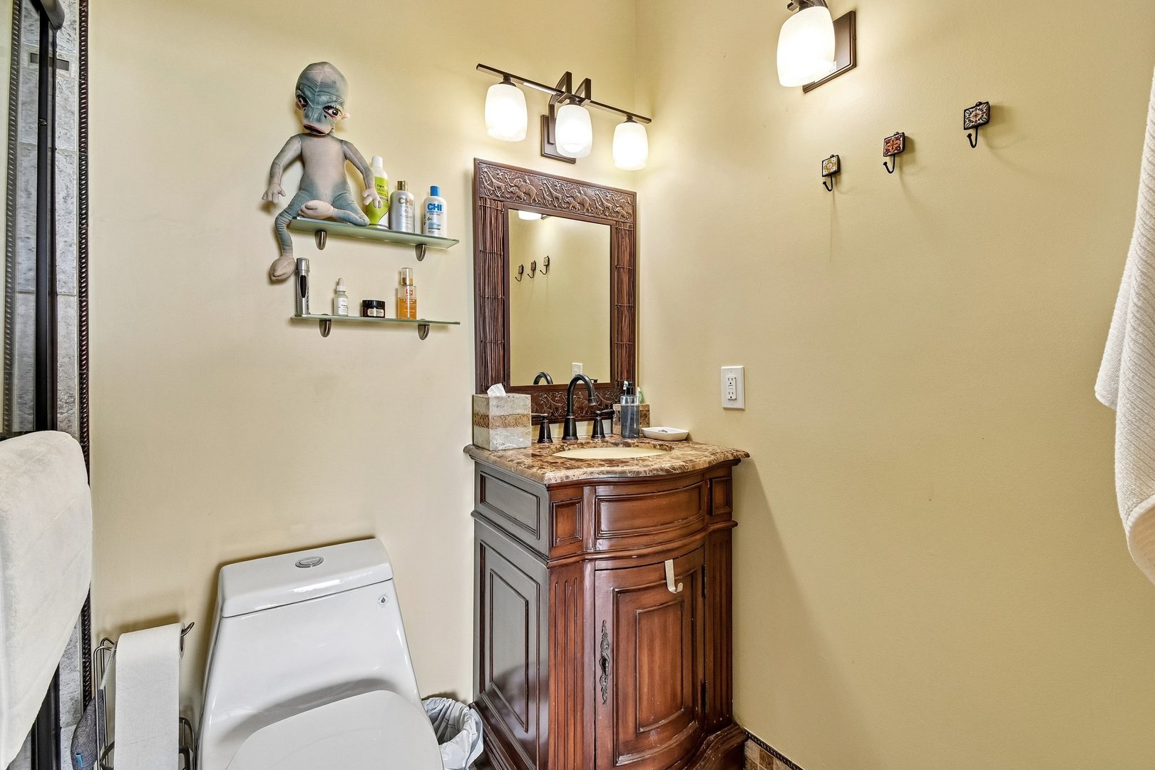3200 N Lake Shore Drive 410 Property Photo 19