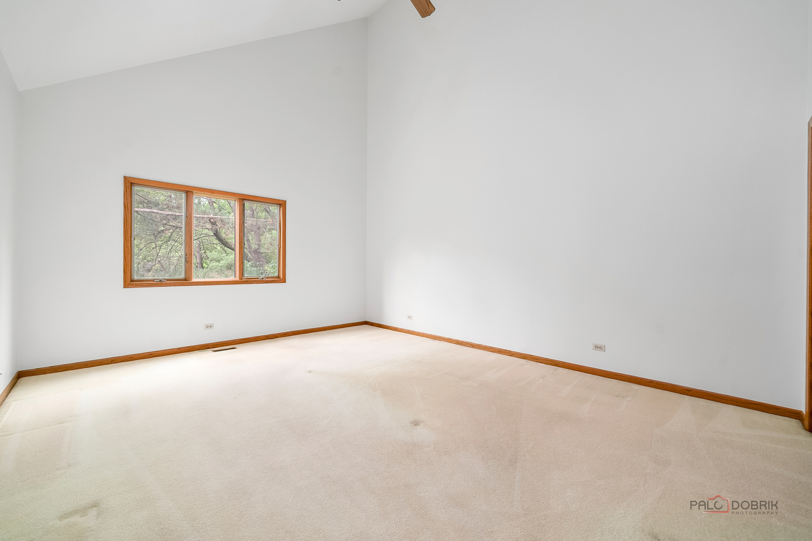 1902 Forest Creek Lane 1902 Property Photo 18