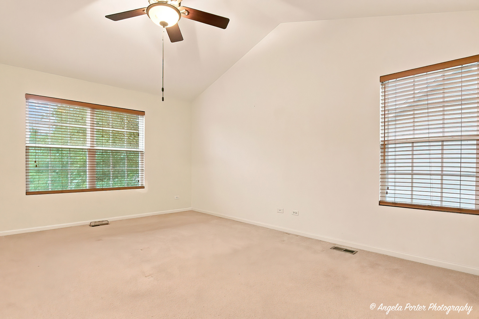 317 Talismon Drive Property Photo 16