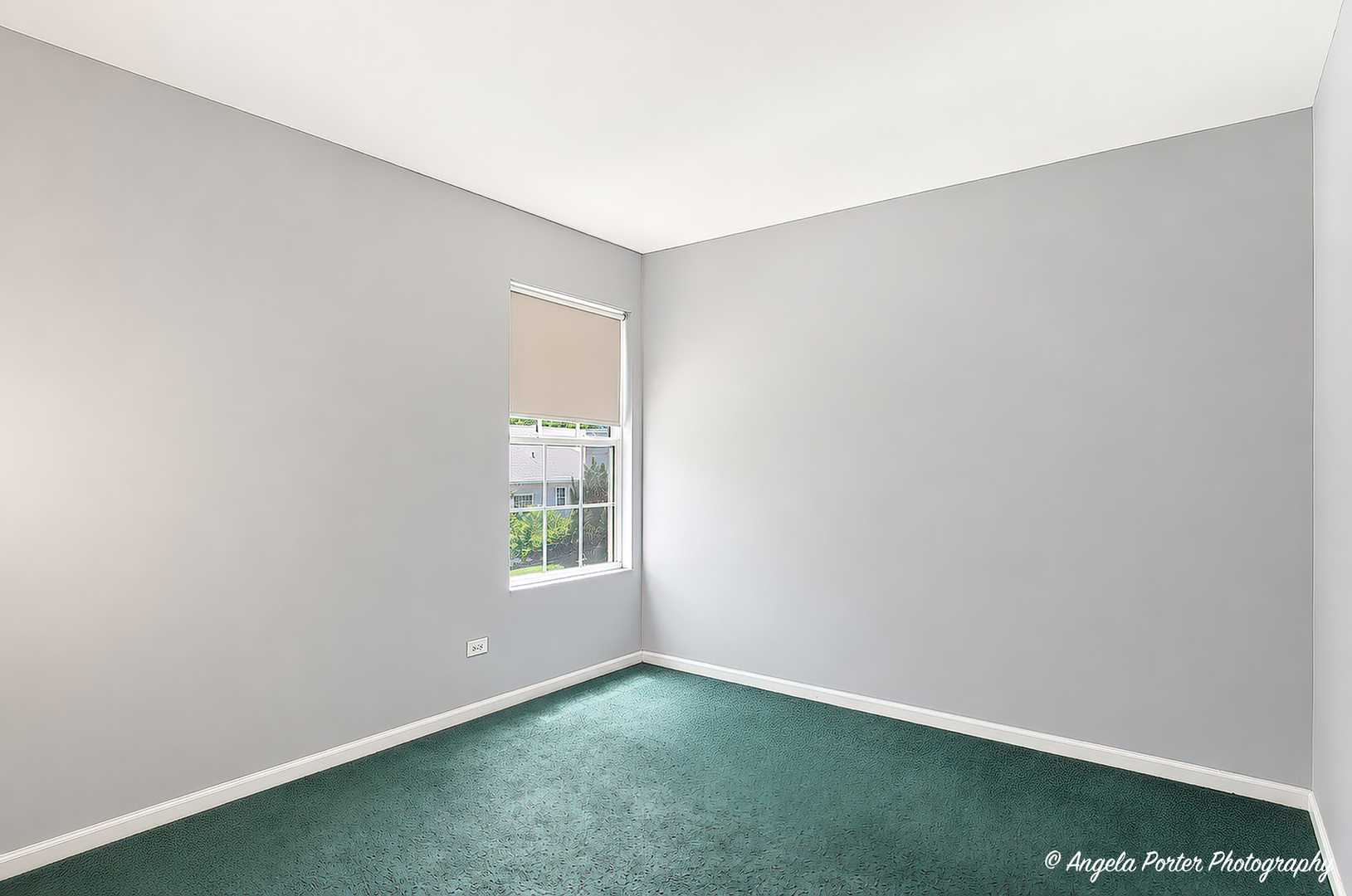 317 Talismon Drive Property Photo 20