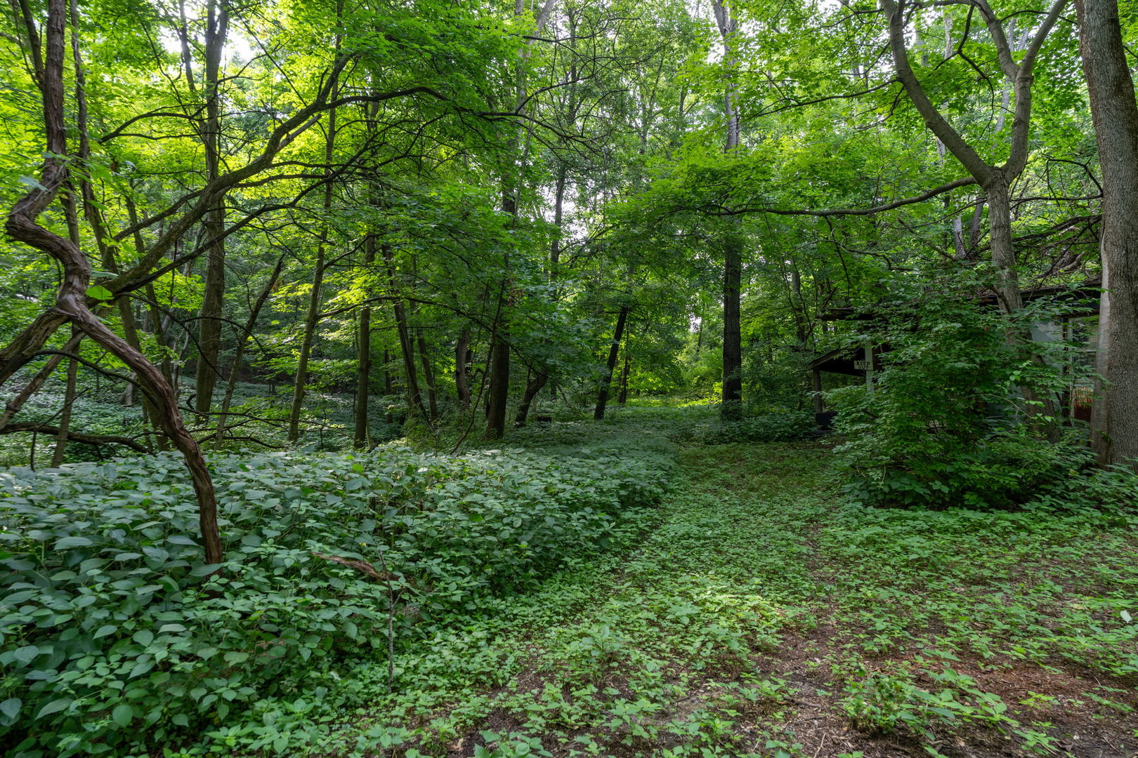 3312 187th Street Court Property Photo 4