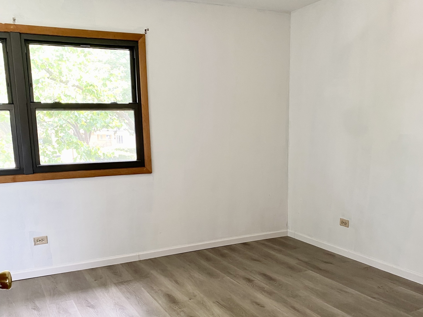 1508 W Palm Drive Property Photo 9