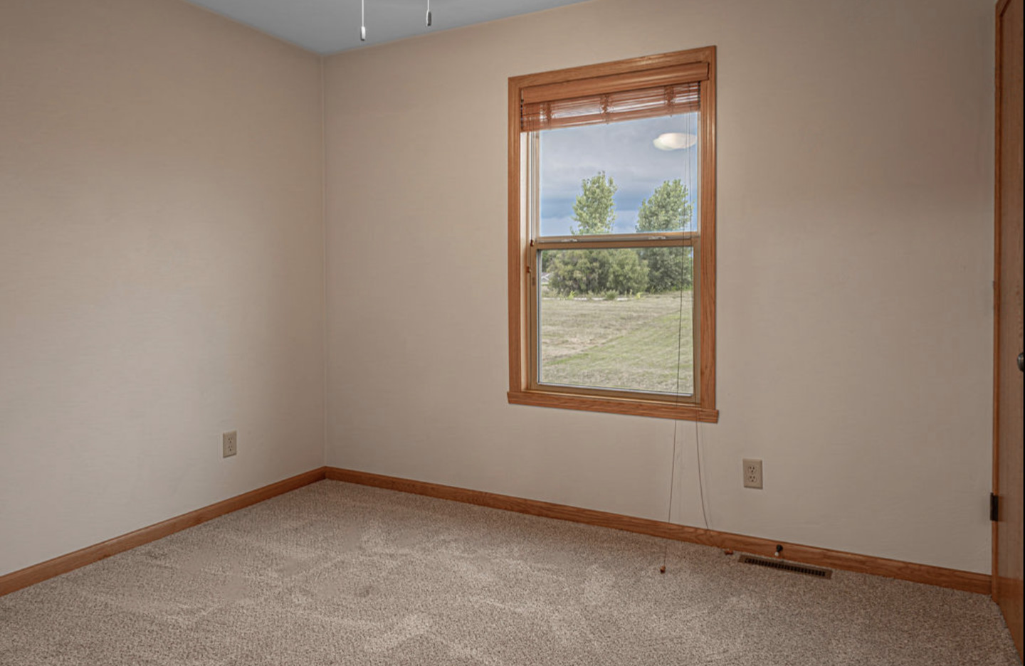 12399 Barberry Drive Property Photo 13