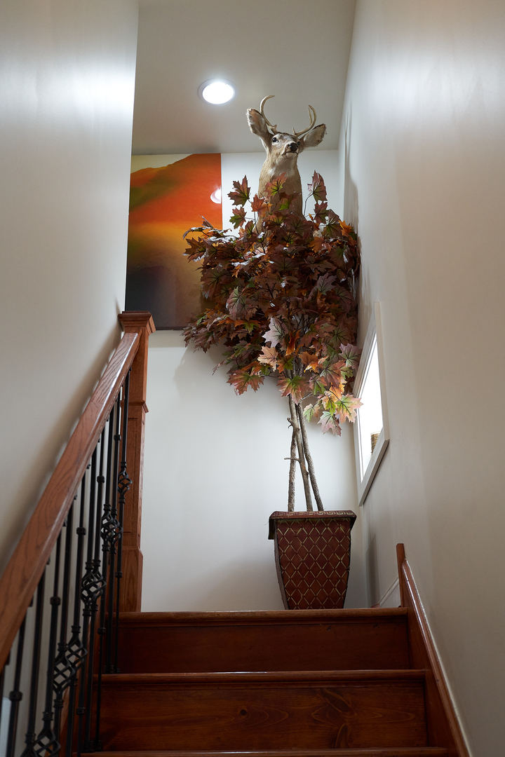 200 N Mayfield Avenue Property Photo 21