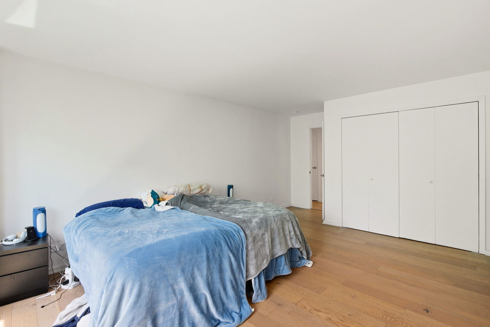 3100 N Lake Shore Drive 601 Property Photo 10