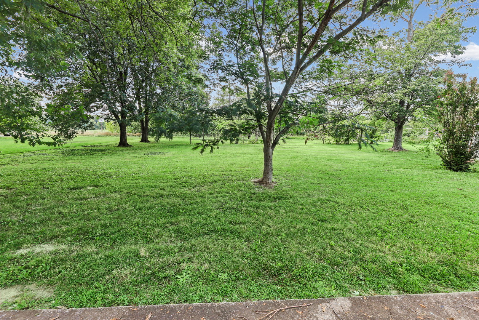 3275 Selmaville Road Property Photo 5