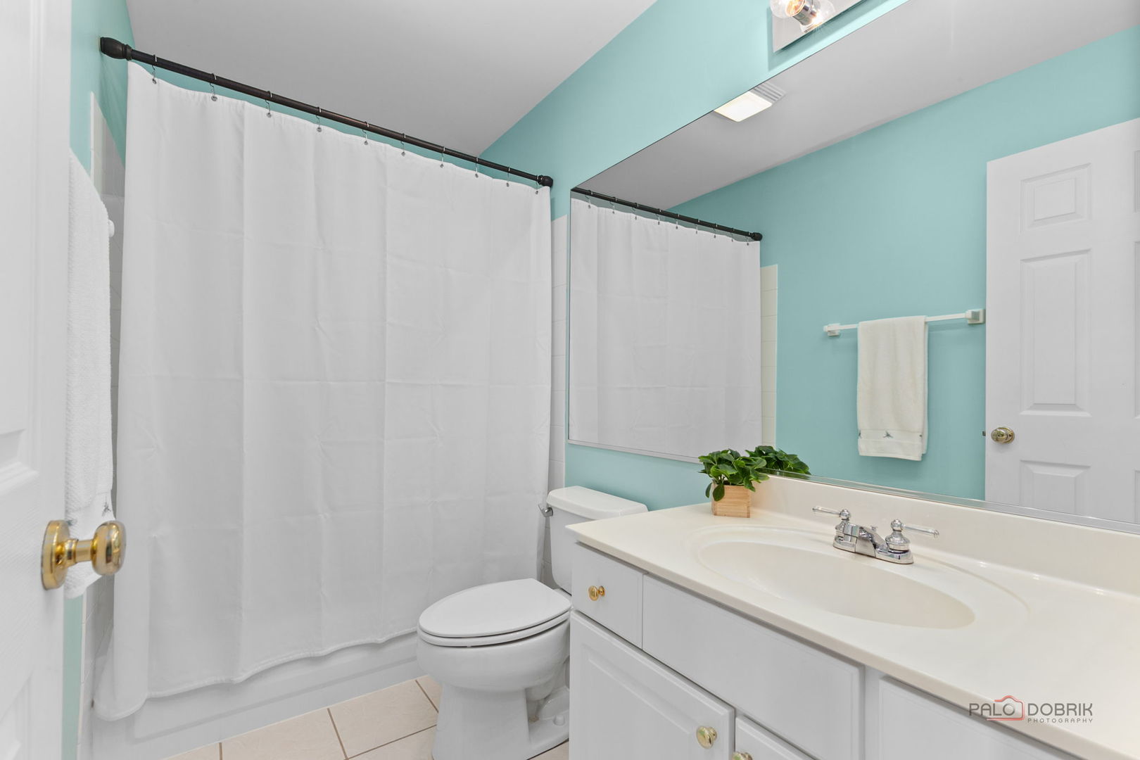 1713 Nathan Lane Property Photo 26