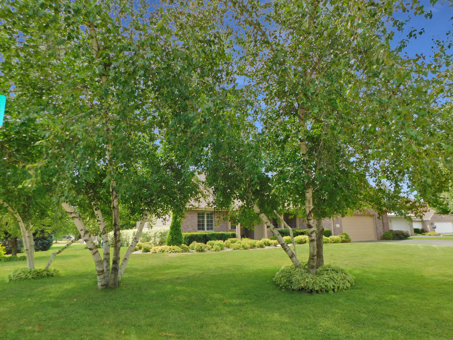 4470 Bellview Way Property Photo 8