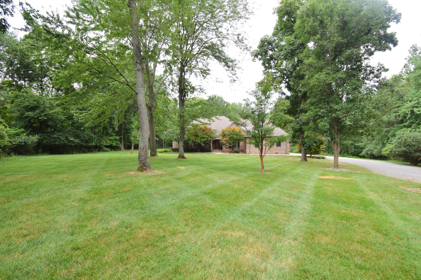 12183 E Hutchison Road Property Photo 4