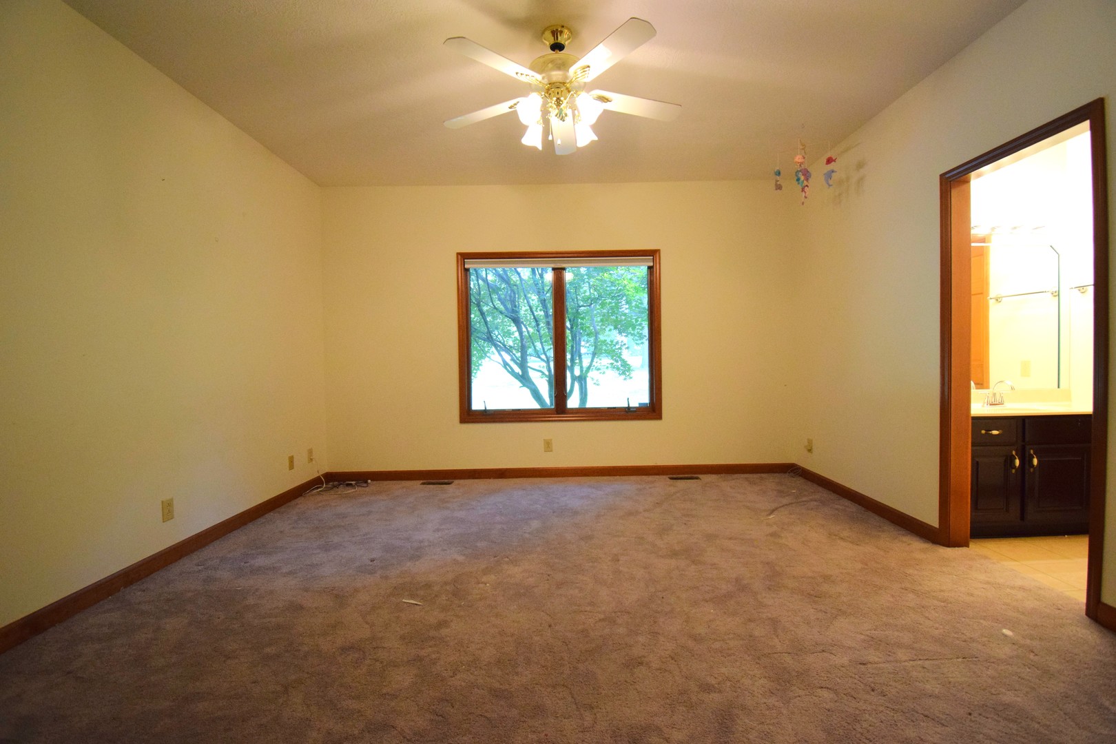 12183 E Hutchison Road Property Photo 35