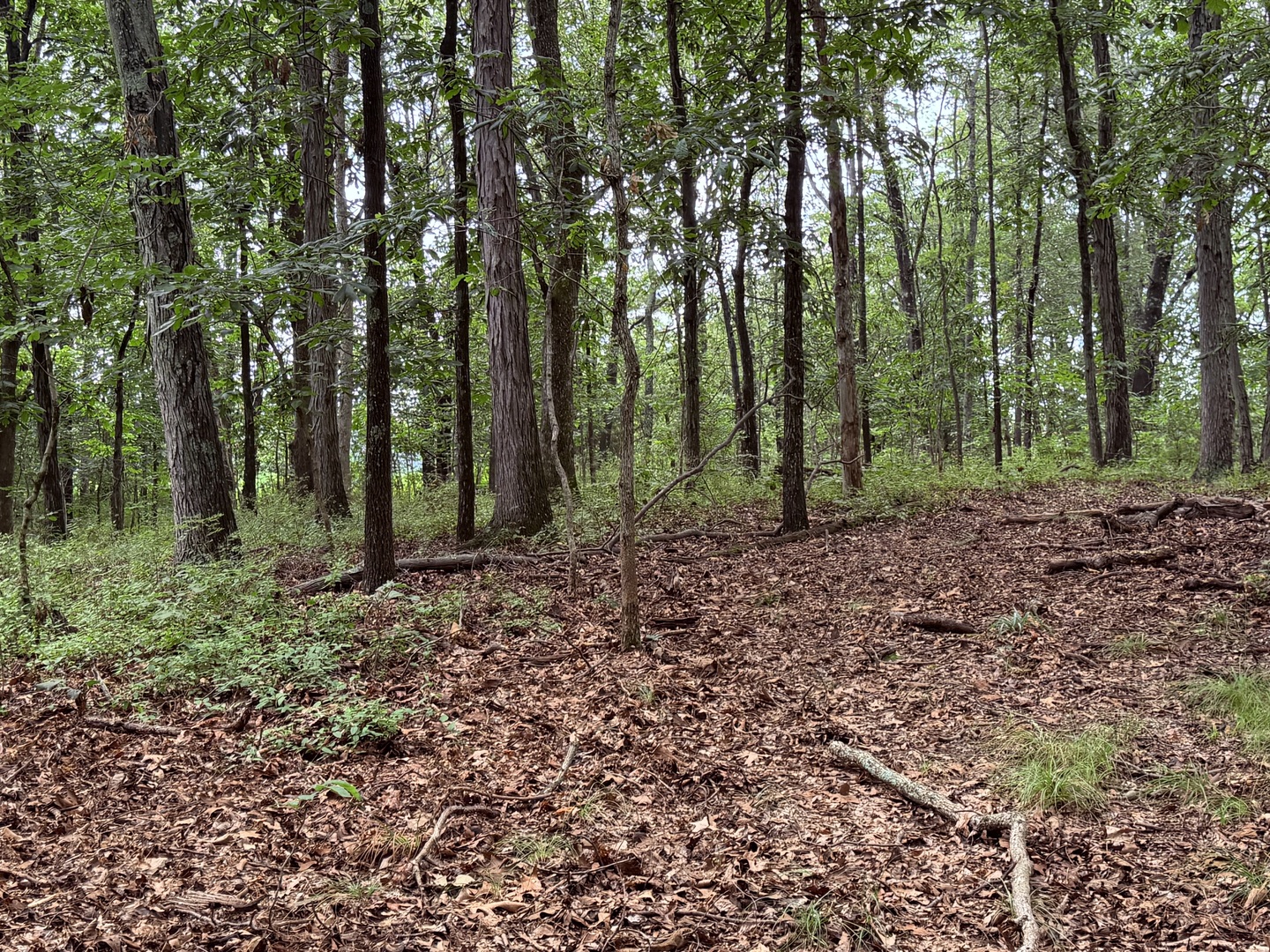 2301 Bundyville Road Property Photo 57