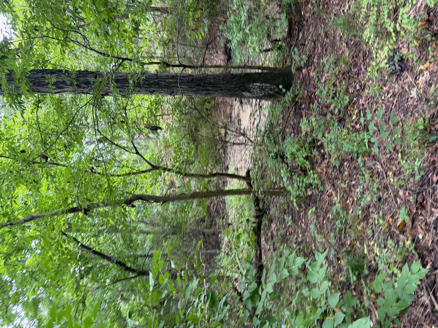 2301 Bundyville Road Property Photo 58