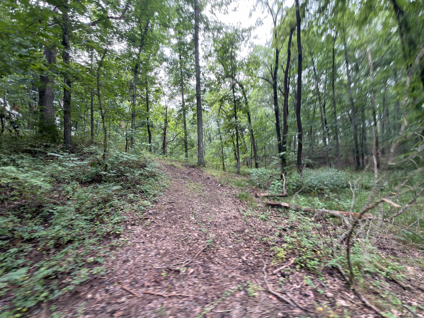 2301 Bundyville Road Property Photo 60