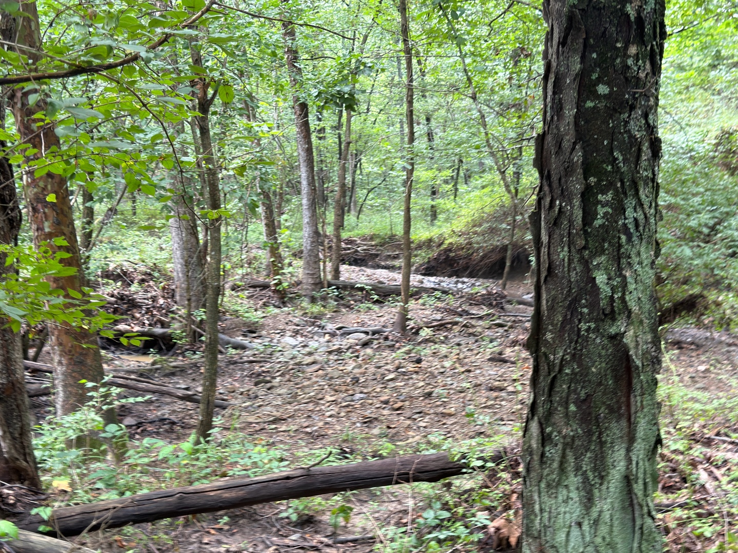 2301 Bundyville Road Property Photo 61