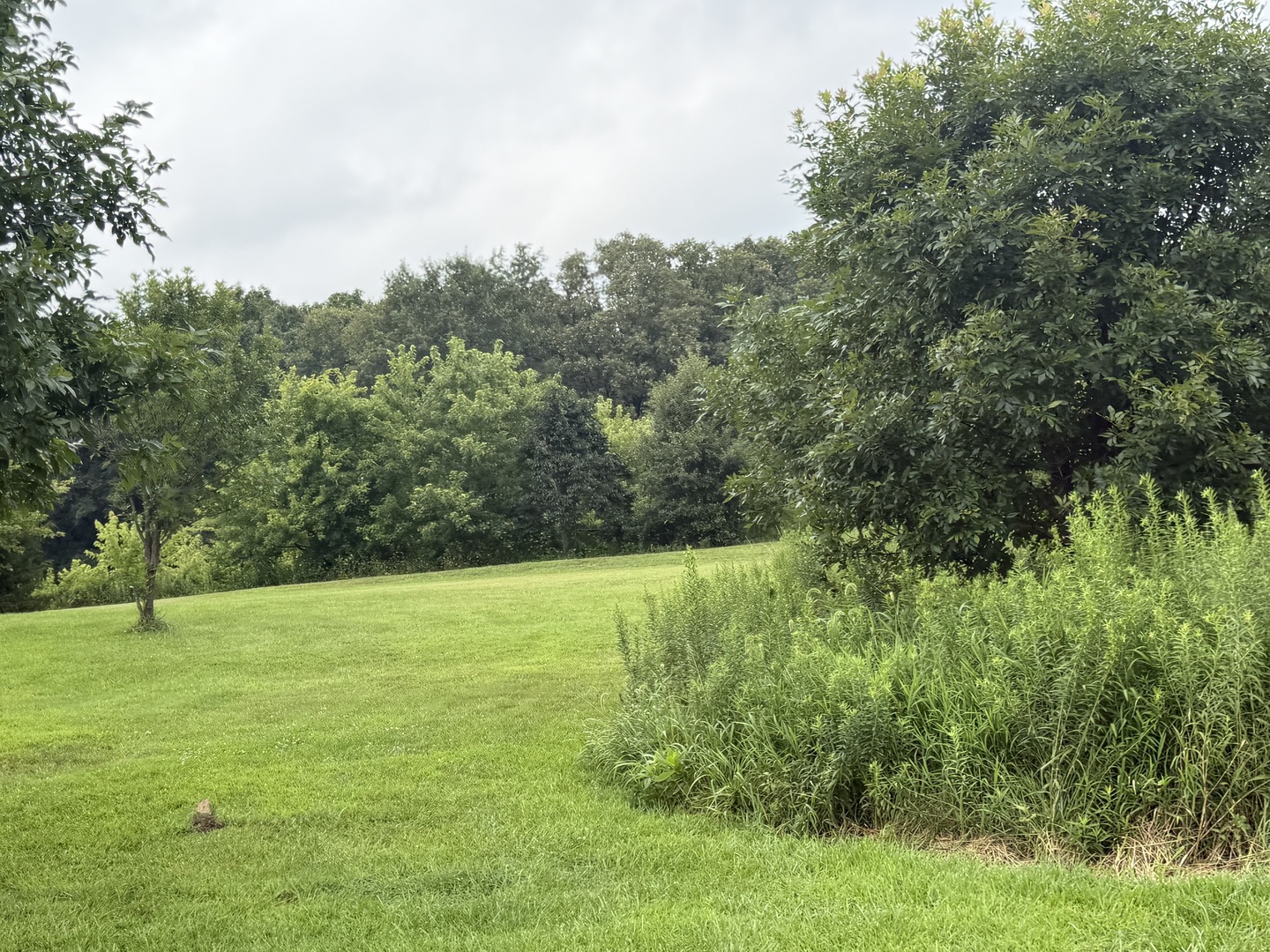 2301 Bundyville Road Property Photo 63
