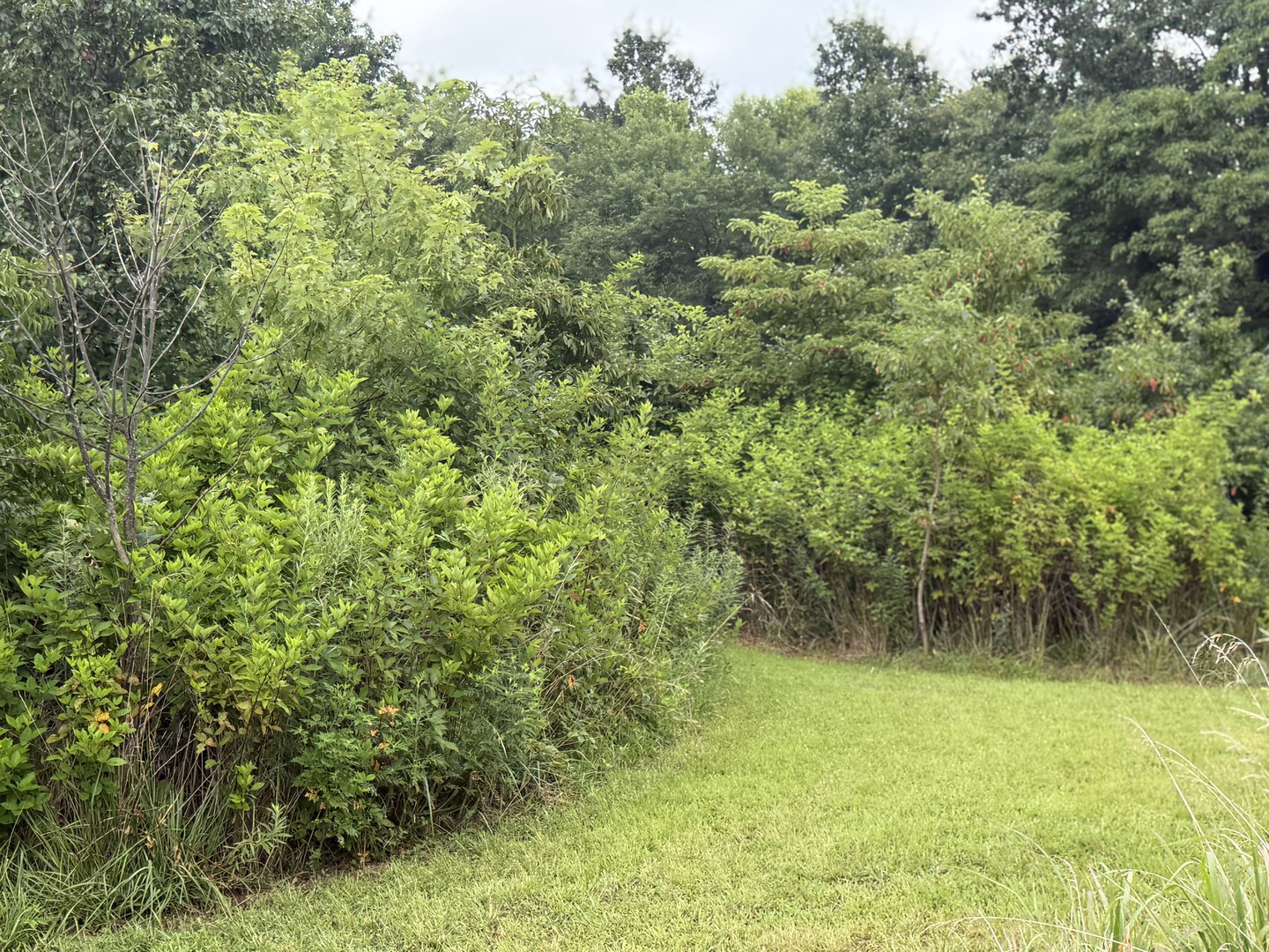 2301 Bundyville Road Property Photo 64