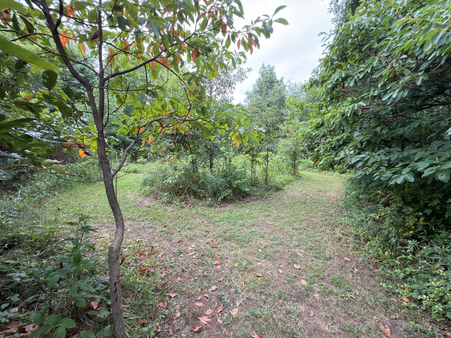 2301 Bundyville Road Property Photo 66
