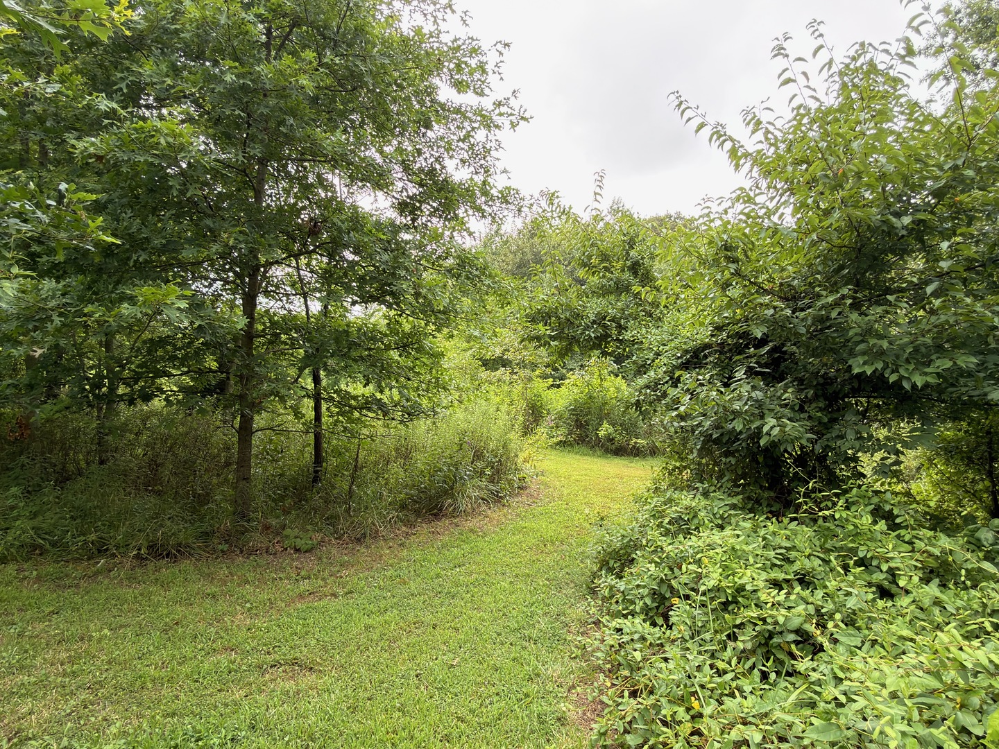 2301 Bundyville Road Property Photo 67