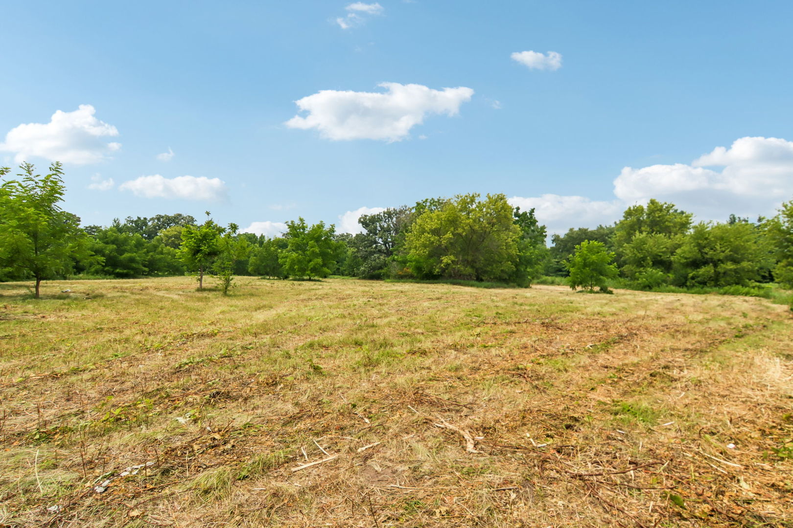16129 Harmony Road Property Photo 18