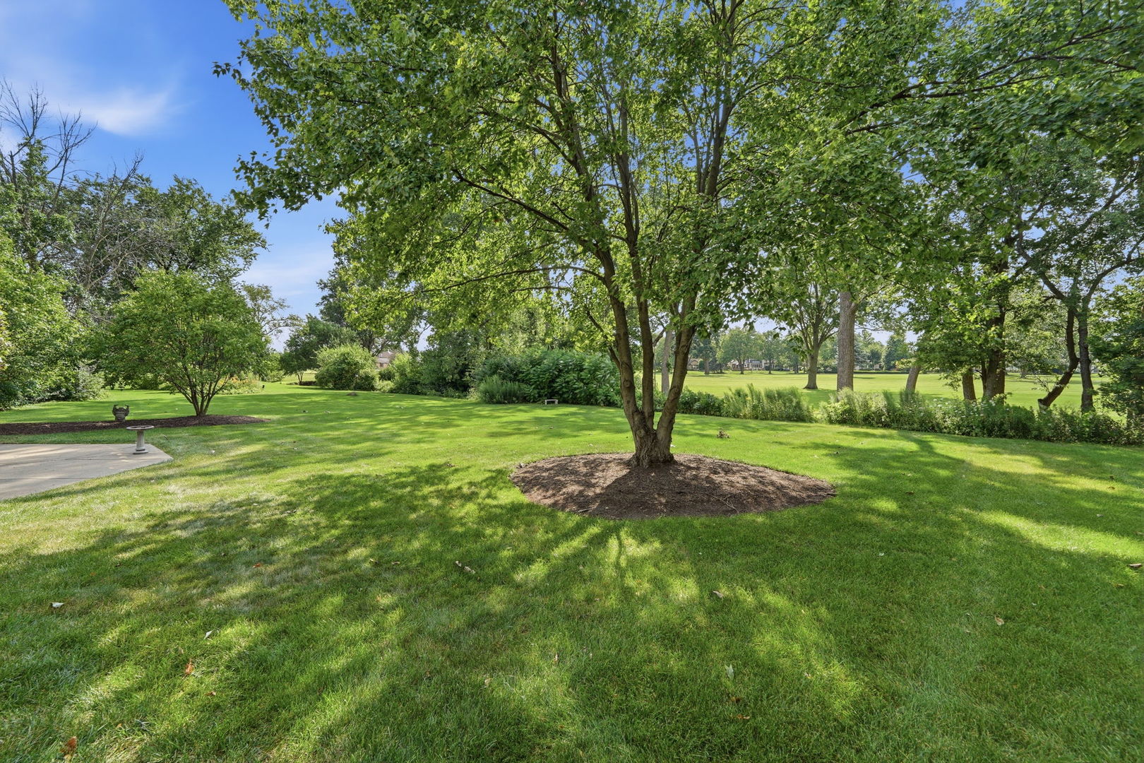 8416 Evergreen Lane Property Photo 54