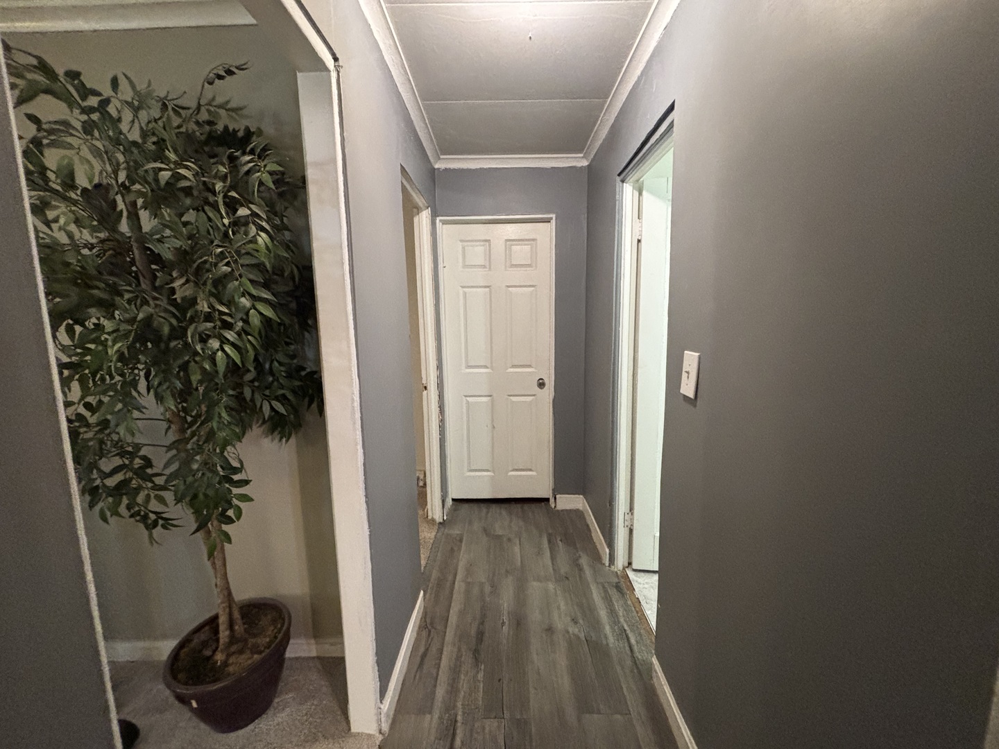 2110 Mound Street Property Photo 5