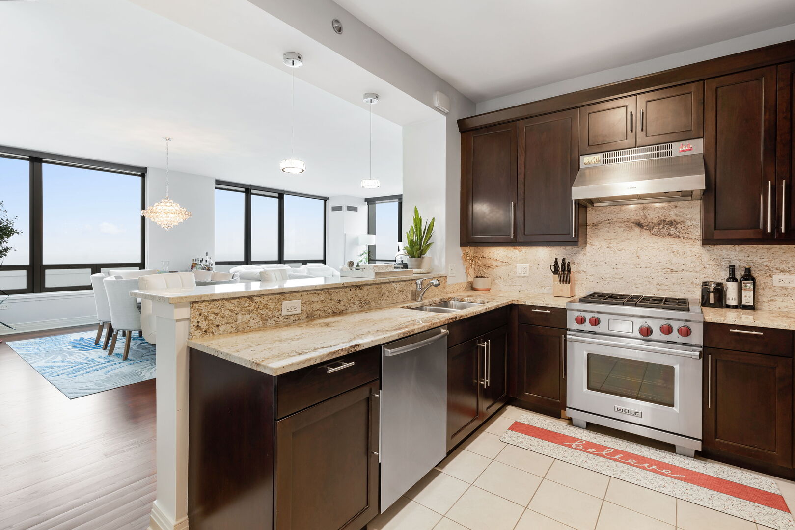 600 N Lake Shore Drive 1411 Property Photo 2