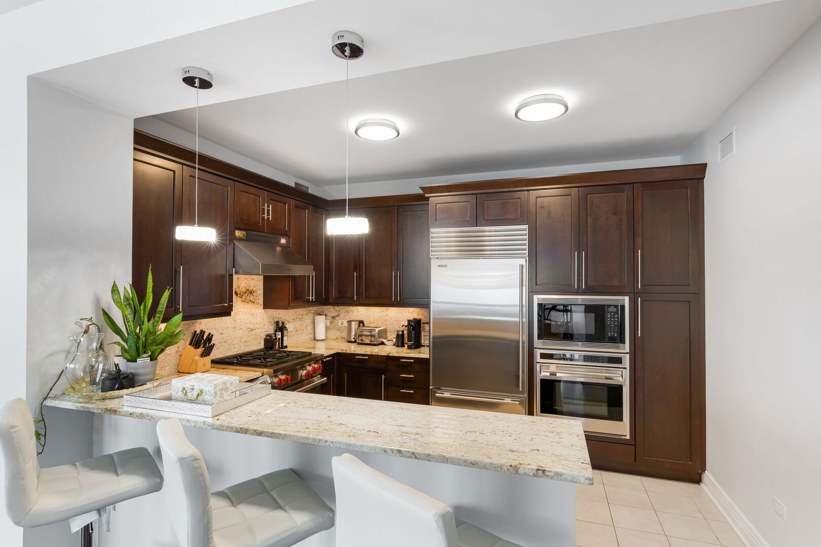 600 N Lake Shore Drive 1411 Property Photo 4
