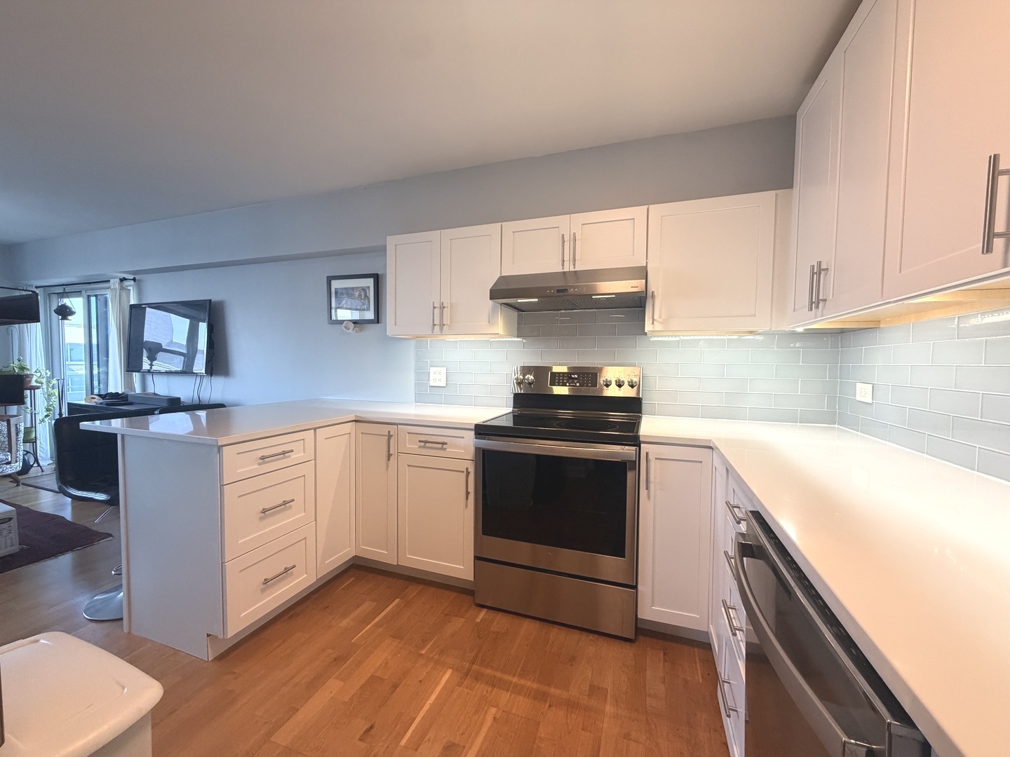 4250 N Marine Drive 2909 Property Photo 5