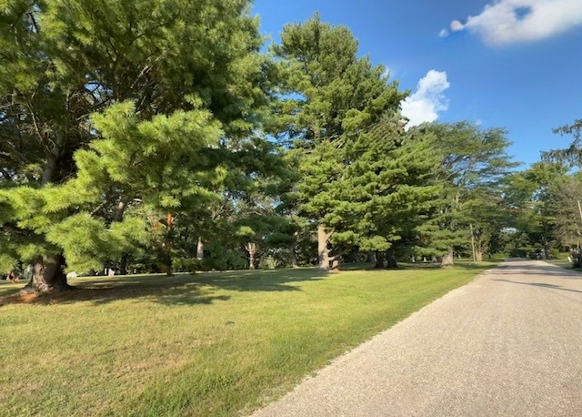 496 Rulison Drive Property Photo 105