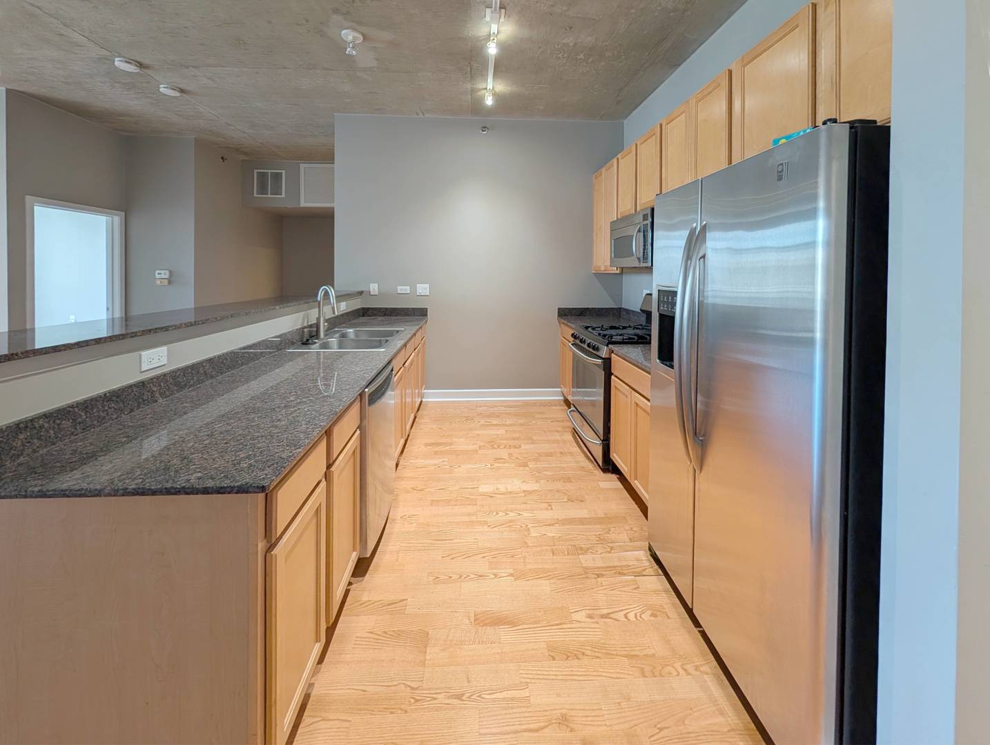 1305 S Michigan Avenue 1711 Property Photo 6