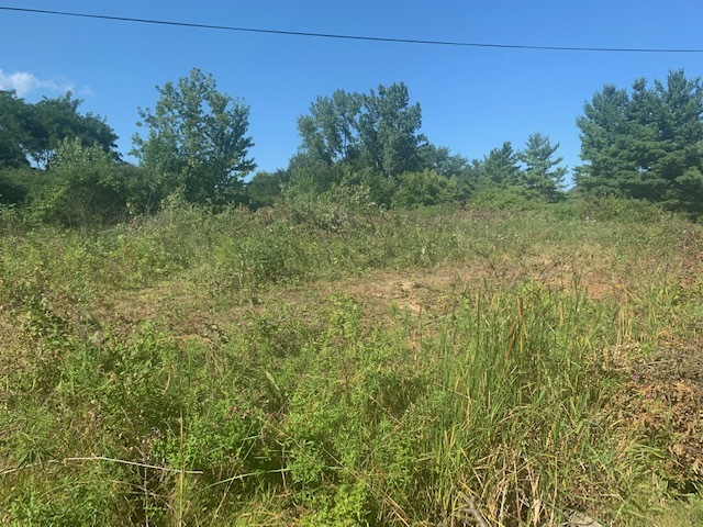 13202 W Hart Street Property Photo 1