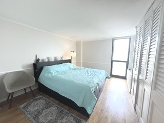 1850 N Clark Street 2803 Property Photo 11