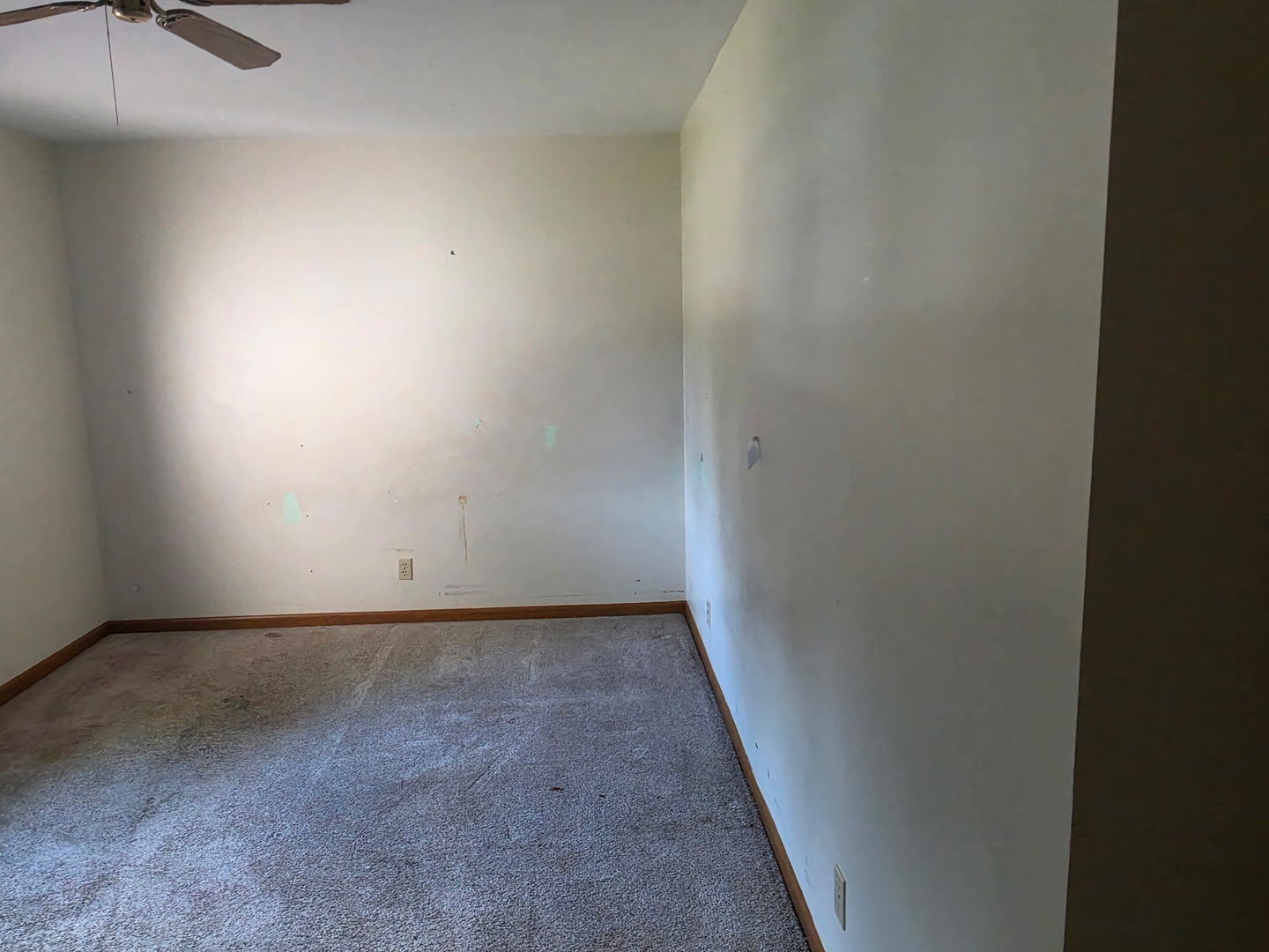 8404 Dorr Road Property Photo 11