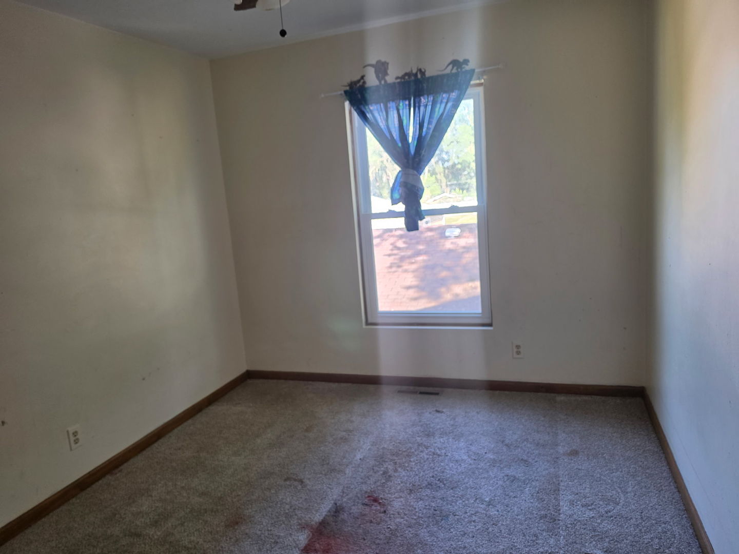 8404 Dorr Road Property Photo 14